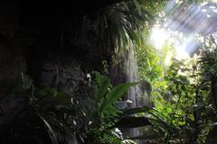 The Arch and waterfalls with lights in St. Louis Botanical Gardens