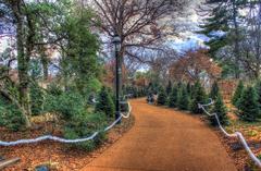 walkway path in St. Louis Botanical Garden