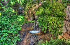 Small Waterfall in St. Louis Botanical Gardens Temperate House