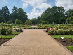 Gladney Rose Garden at the Missouri Botanical Garden