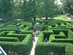 hedge maze at the St. Louis botanical gardens