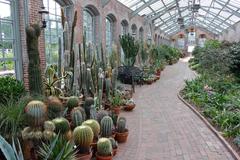 Linnean Semi-Arid House greenhouse interior with various drought-tolerant plants