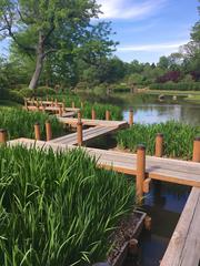 Japanese Garden walkway and pond at Missouri Botanical Garden, May 2017