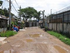 Countryside in the heart of the city, freed after 35 years of Saigon