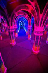 Interior view of Magowan's Infinite Mirror Maze with reflective mirrors and colorful lights