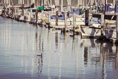 Cormorant on a wooden post at Pier 39