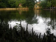 Ho Chi Minh's house on a rainy day