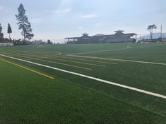 new artificial turf at TNA Ground