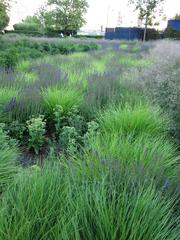 Potters Fields Park in London with green lawns, benches, and trees