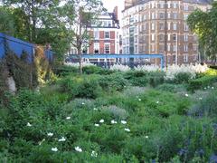 Potters Fields Park with city skyscrapers in the background