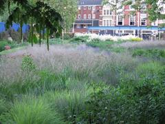 Potters Fields Park greenery