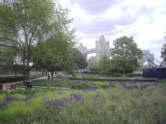 Tower Bridge from Potters Fields Park