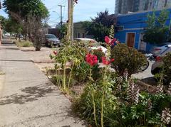 Barrio Montiel in San Miguel, Chile