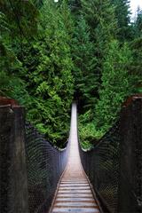 Lynn Canyon Suspension Bridge in North Vancouver