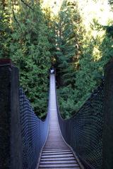 Lynn Canyon Suspension Bridge