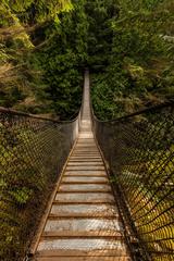 Lynn Canyon Suspension Bridge in Vancouver, Canada