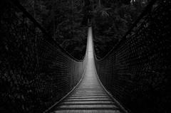 rope bridge in North Vancouver, British Columbia