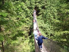 Lynn Canyon Park lush green forest with wooden boardwalk trail and sunlight filtering through trees