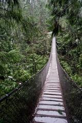 Lynn Canyon Suspension Bridge