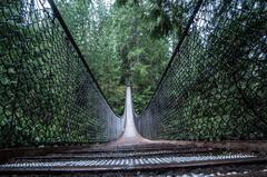 Lynn Canyon Suspension Bridge in the forest