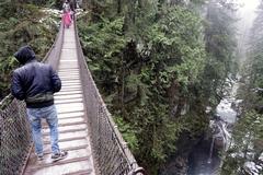 Lynn Canyon Suspension Bridge in forested area