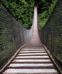 Lynn Canyon Suspension Bridge, North Vancouver