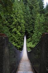 Lynn Creek Canyon Suspension Bridge