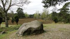 Boulder marking Herman Löns' burial site near Walsrode