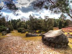 Heathland near Walsrode with Hermann Löns monument