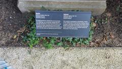 Historical plaque for 'Herfst' by Ignatius van Logteren in the Rijksmuseum Garden, Amsterdam.