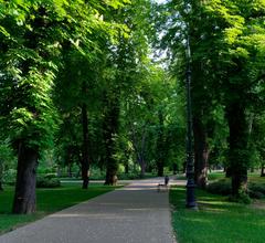 park on Margaret Island in Budapest