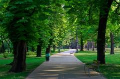 Margaret Island Park in Budapest