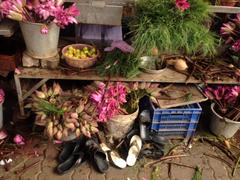 Flower shop near Manakula Vinayagar Temple