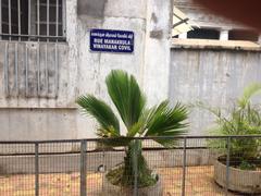 Manakula Vinayagar Temple street flower shop street view with palm tree