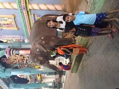 Devotees receiving blessings from an elephant outside Manakula Vinayagar Temple in Pondicherry