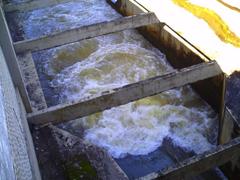 Canalized water from Rio Guandu