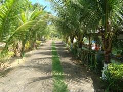 Alameda Coqueiral panoramic view