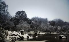 Horaijima at Rikugien garden