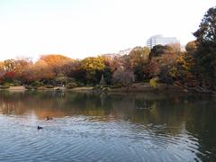 Pond at Rikugien Garden in Komagome