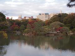 Pond at Rikugien Garden in Komagome