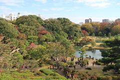 View of Rikugi-en Garden with vibrant autumn foliage and a tranquil pond