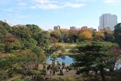 Rikugi-en Japanese garden with autumn foliage