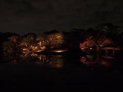 Autumn Illuminations at Rikugien Gardens