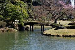 Rikugien Garden in Tokyo, Japan during spring