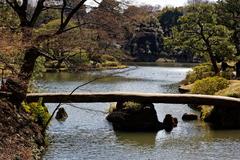 Rikugi-en Garden in Tokyo with trees and a pond