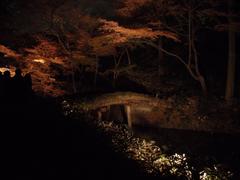 Autumn Illuminations at Rikugien Gardens in Tokyo