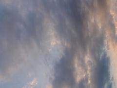 Clouds at Rikugien Garden, Komagome