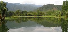 09 Still Lake at Lake Gardens Taiping Perak