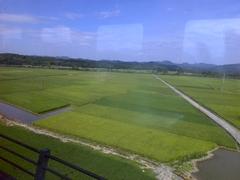 vast farmlands as seen from a train