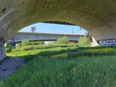 Marienbrücke Railway Bridge in Dresden